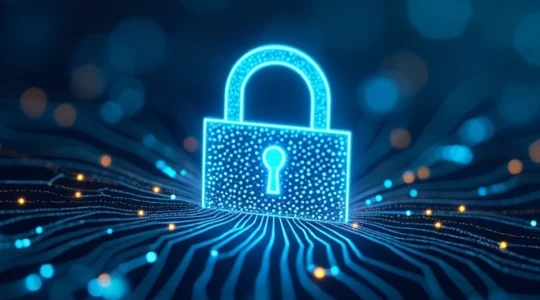 la sicurezza delle informazioni digitali